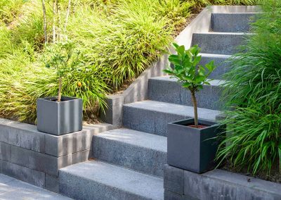 Dutch Quality Gardens Visio Vireo Bloementuin Bergen Op Zoom 1